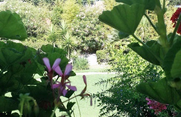 view from the triple room