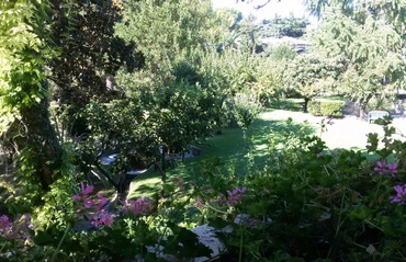 view from the room