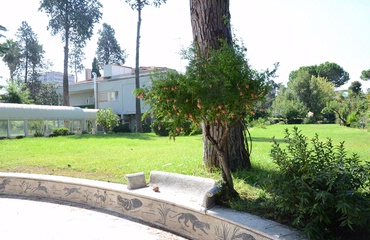Vista parco esterno